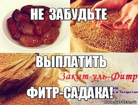 КТО ОБЯЗАН РАЗДАВАТЬ ФИТР-САДАКА