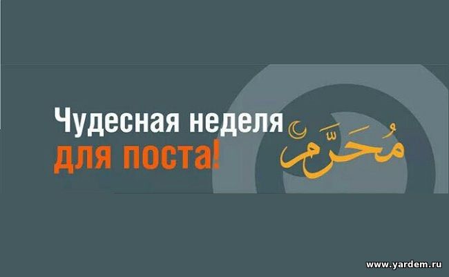 Ашура открывает неделю дополнительного поста