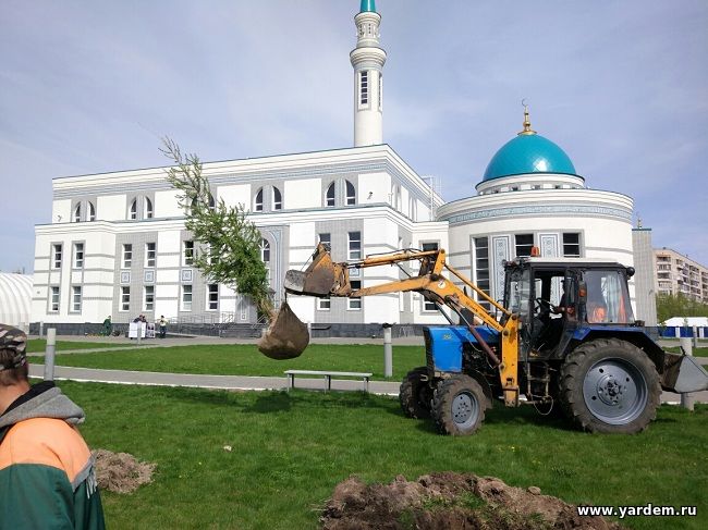 В мечети "Ярдэм" продолжается процесс озеленения прилегающей территории