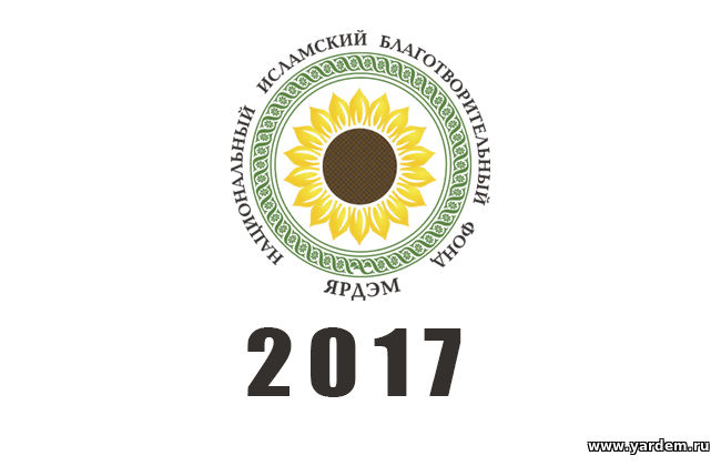 Достижения НИБФ "Ярдэм" в уходящем 2017 году