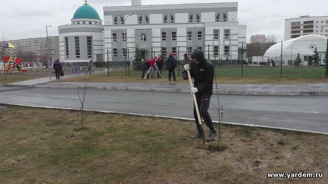 НИБФ "Ярдэм" присоединился к общегородскому субботнику