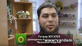 Мнение гостей: директор благотворительного фонда "Мусульмане Мордовии" Ратмир Мусалов