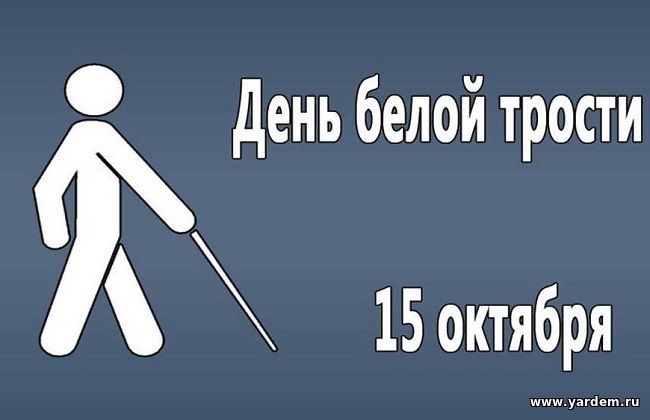 15 октября - Международный день белой трости