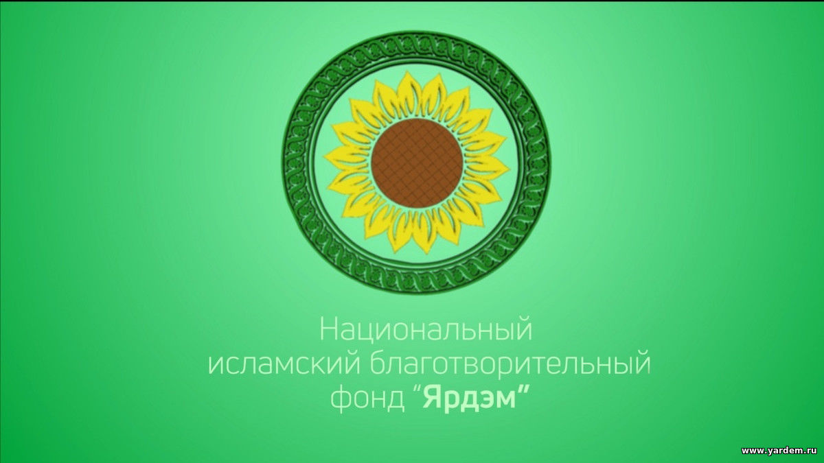 Октябрьский выпуск видеожурнала Благотворительного фонда «Ярдэм» — на Ютуб канале фонда